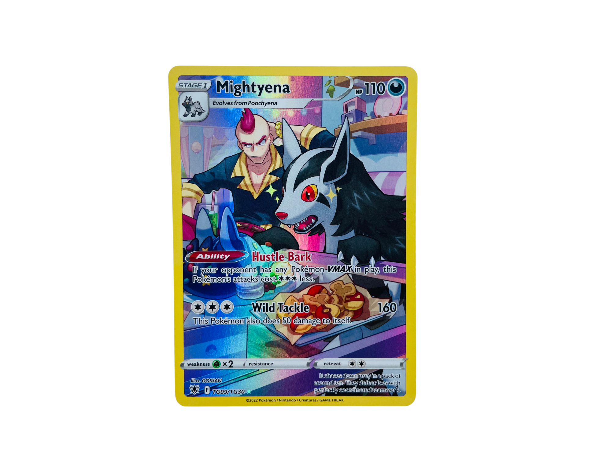 Mightyena TG09/TG30 Pokémon TCG card