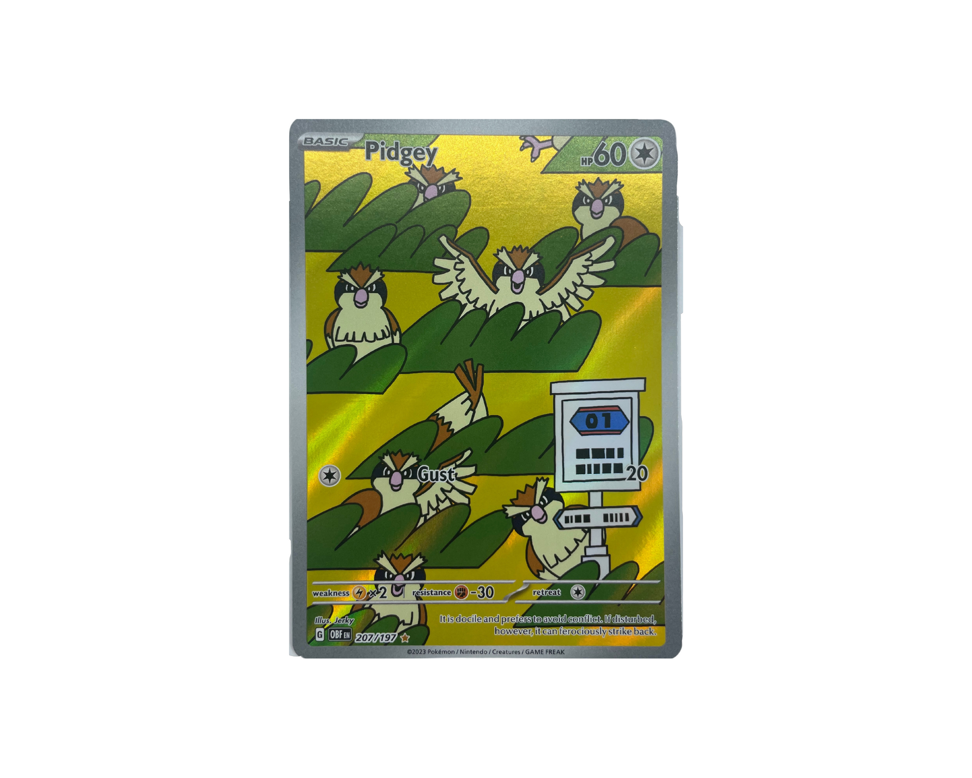 Pidgey 207/197 Pokémon TCG card