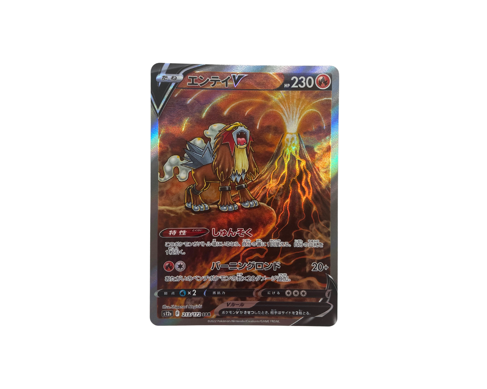 Entei V (Japanese) 213/172